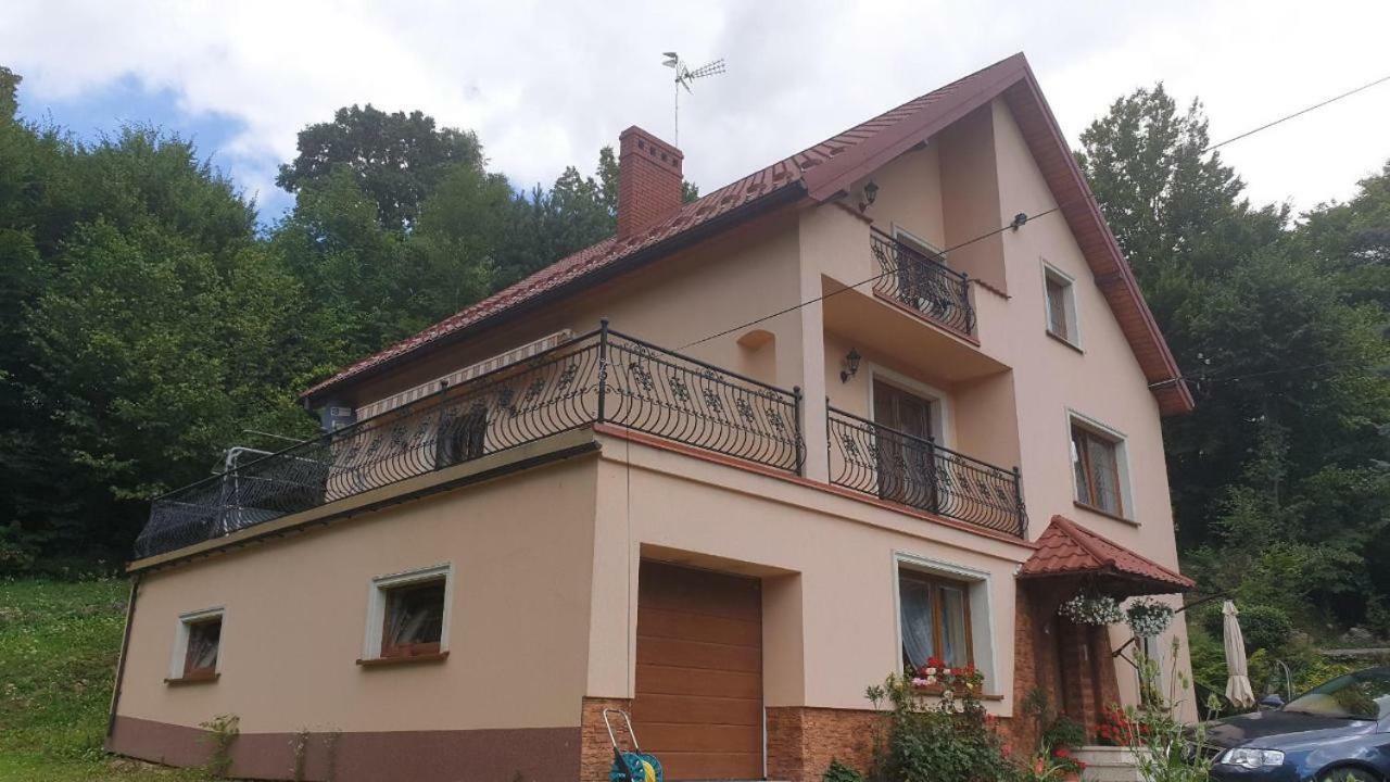 Appartamento Apartament Przy Skale U Anny Sapow Esterno foto